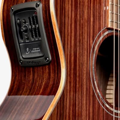 Furch Rainbow Limited Edition 22 Gc-RR All Rosewood w/ Duo Bevel #108800 image 8