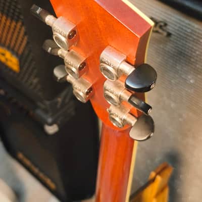 Parkwood PW-560 Electrified with Gigbag image 11