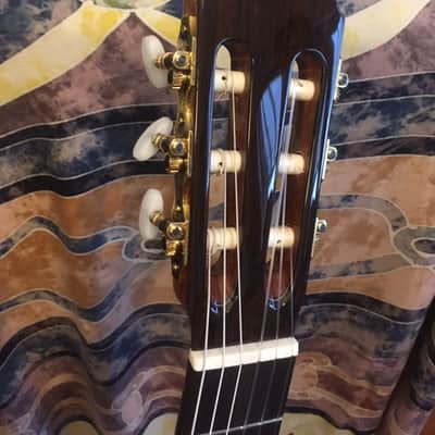 Hill New World Classical Guitar w/Elevated Fingerboard-Brand New! image 5