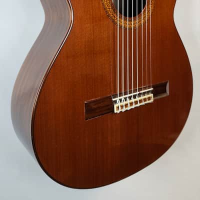 Ramirez 1975 Class 1a 8-String Classical Guitar, Made in Madrid, w/Paperwork, HSC image 4
