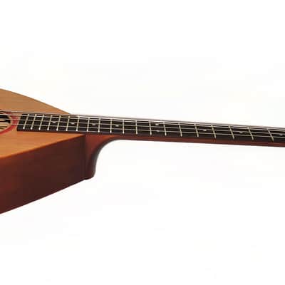 Ukrainian Folk Music 4 Strings Bass Guitar Kobza made in Ukraine by Trembita Natural Wood Hand Painted Rich and Powerful Sound! image 9