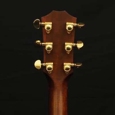Taylor DR Custom 1998 - Tree of Life Inlay image 7