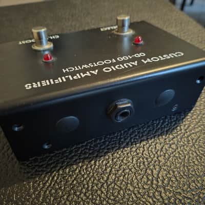 Custom Audio Amplifiers CAA OD50 image 10