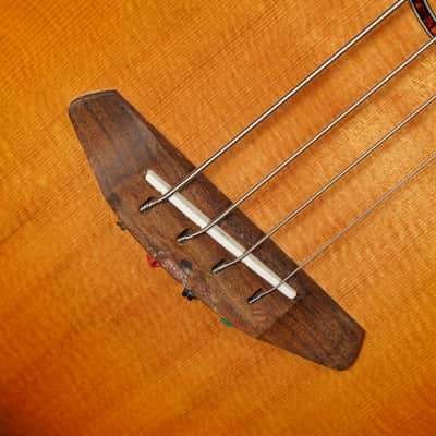2021 Breedlove Discovery S Concert ED Acoustic/Electric Bass Guitar (VIDEO! Fresh Work, Ready) image 7