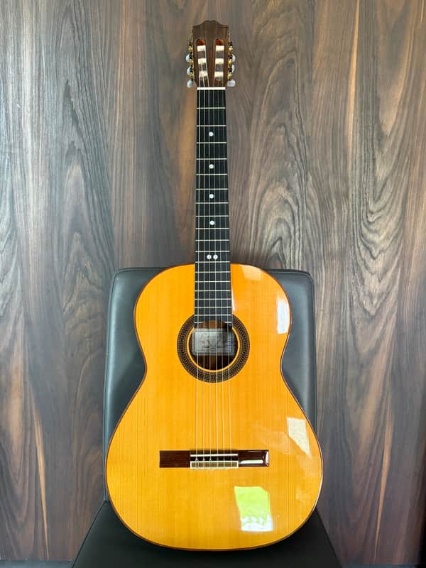 Cordoba Pro R Classical Guitar - Acoustic/Electric - LR Baggs Pickup - Hardcase image 1