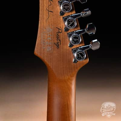 Ibanez MMN1 Martin Miller Signature Guitar w/ Case – Transparent Aqua Blue image 6