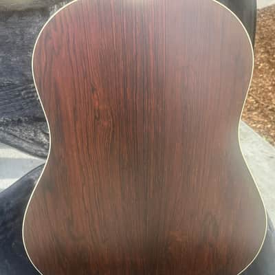 Iris  DF 2022 -Brazilian Rosewood - Iced Tea Burst image 10