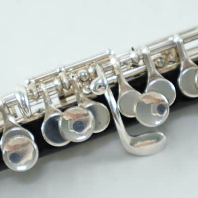Braun Handmade Grenadilla Piccolo SN 410 OUTSTANDING image 13