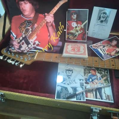 Terry Kath "Chicago" Custom Tribute Telecaster w/HSC image 14