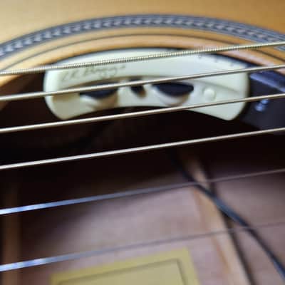 Nice! Orangewood Sage Live w LR Baggs Anthem System & Case - Natural Satin image 2