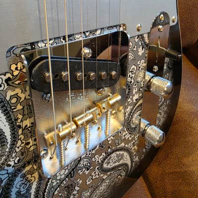 PartsCaster Custom Telecaster Paisley image 5