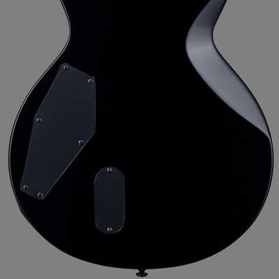 SPECIAL-ORDER! LTD WILL ADLER SIGNATURE WA-WARBIRD GUITAR / BLACK + GRAPHIC image 3