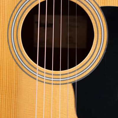 Taylor 110ce Dreadnought Acoustic/Electric Guitar - Solid Torrefield Spruce with Gig Bag image 12