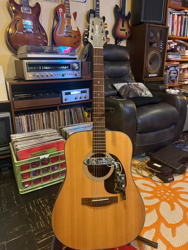 Takamine G Series