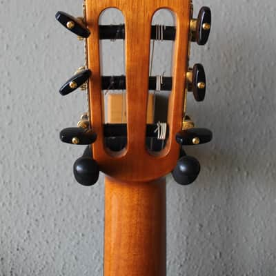 Brand New Cordoba Stage Thinbody Nylon String Acoustic/Electric Guitar - Garnet image 6