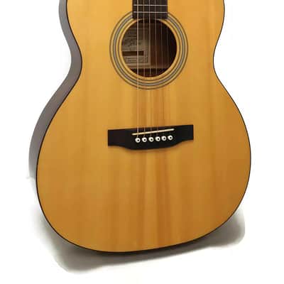 RECORDING.KING.ROS-06ニュヨーカータイプ。ハードケース付き。 Recording King ROS-06 06 Series Solid Top 12-Fret 000 Acoustic