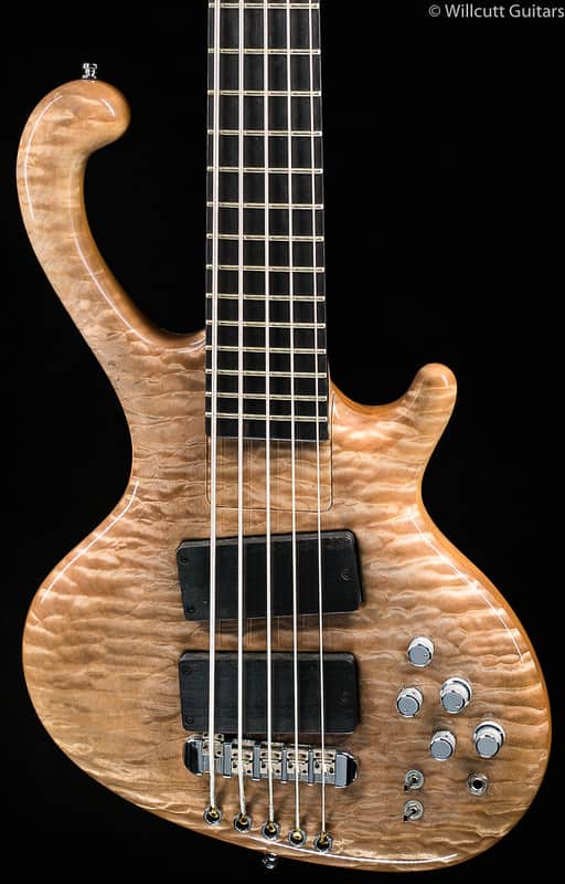 Ritter Roya 5-String Captain Silver USED (183) image 1