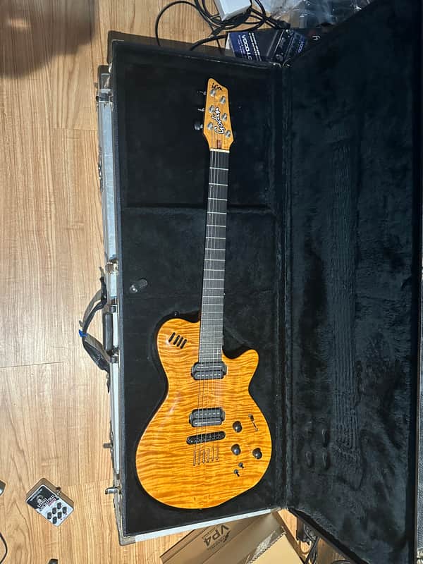 Godin LGX-SA with AA Flame Maple Top image 1