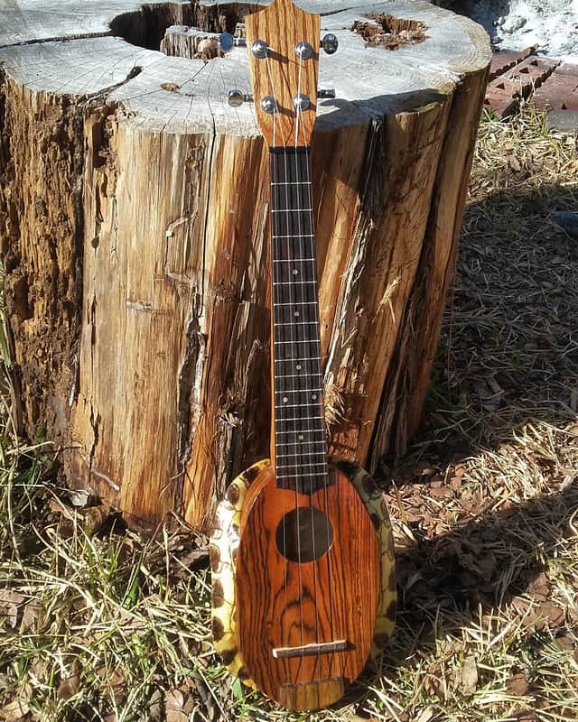 Turtle shell ukulele image 1