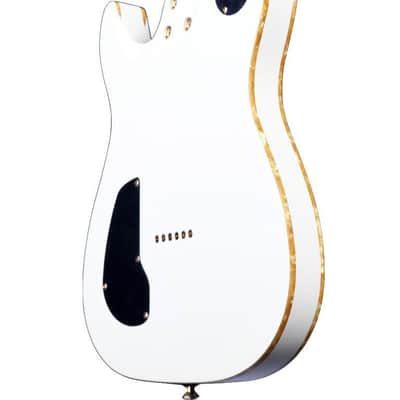Chapman Chris Robertson Signature SAR63 Semi-Hollow #H23120137 image 6