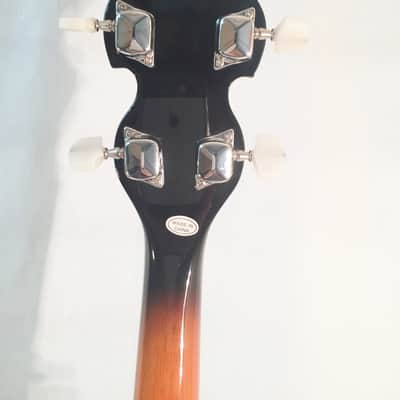 Danville 5-String Banjo-Pro Quality-24 Brackets-NEW-Shop Setup Included! image 6