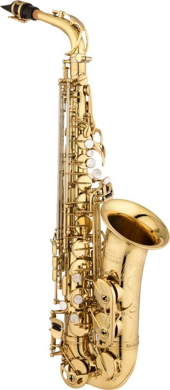 Eastman EAS650 Rue St. Georges Eb Alto Saxophone image 1