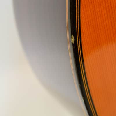Gitane DG-250 Professional Gypsy Jazz Acoustic Guitar, Natural (Pre 2010) w/ Case image 8