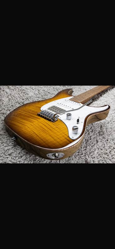 Mayones Aquila 2019 - brownburst | Reverb