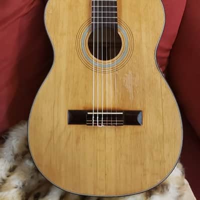 Raffael Calace & Figlio Classical Guitar-Luthier-Made, Naples, Italy 1960 image 1