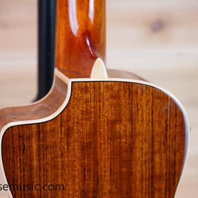 Luna Vista Bear Concert Acoustic-Electric Ukulele image 10