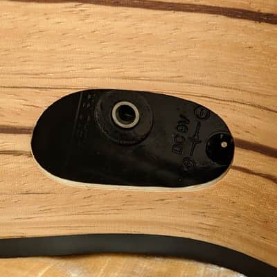 Liger Ukulele • Professional Tenor Ukulele with Built-in Amp and Speaker image 17