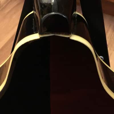 Ashbury Mandolin w/Case image 14