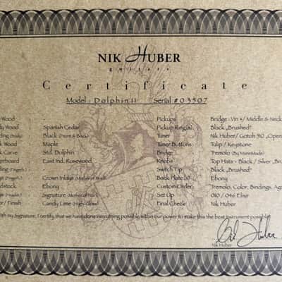 Nik Huber Dolphin 2023 - Custom Lime Green image 7