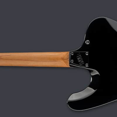 PRE-ORDER - 2026 LTD PHOENIX-200DX DX SERIES GUITARS \ BLACK BURST image 3