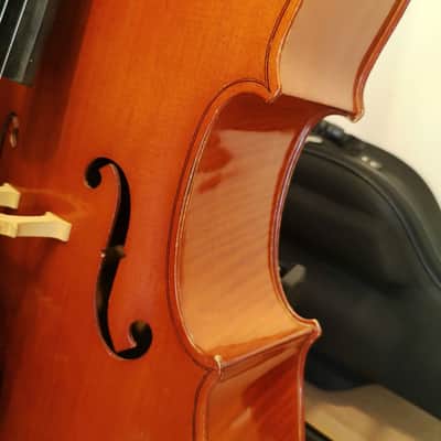 Cello Josef Jan Dvorak (Czechoslovakia, mid-80s) with a Chellococoon case image 3