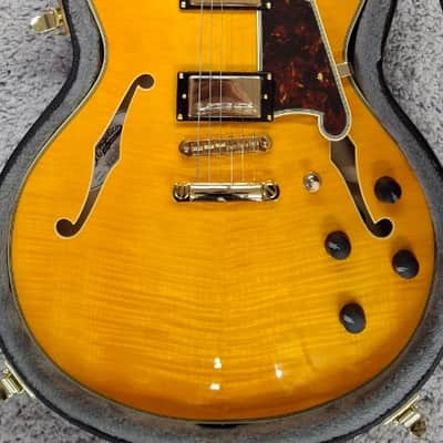 D'Angelico Excel DC Semi-Hollow Body Electric Guitar w/Hard Case Vintage Natural image 1