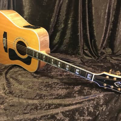 Guild D60 Maple Back "90s Westerly Wonder" Rare Bird  Acoustic Electric Top of the Line Model image 1