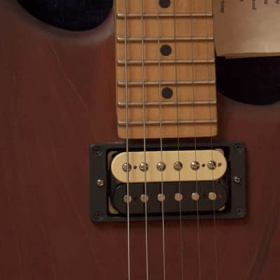 Wayne Charvel Guitars Monster handmade by himself image 3