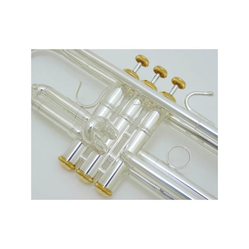 Bach Back / 180ML37/25 SP/GP [Bb Trumpet] [Trumpet station custom