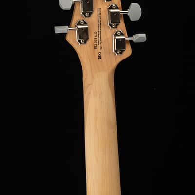 PRS SE Silver Sky Dragon Fruit image 9