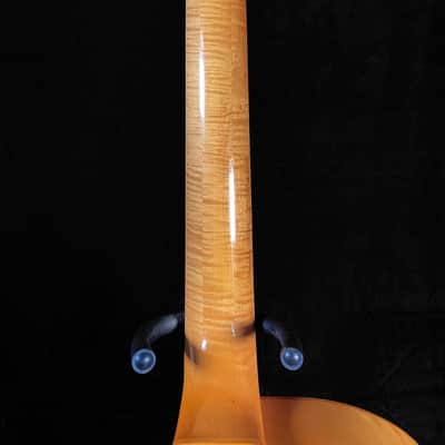 Benedetto Knotty Pine Special 17" Archtop - One of a Kind Collector's Instrument image 15