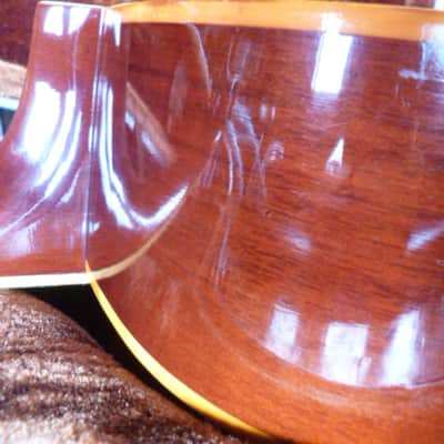 Immagine Ensenada  wg 66 Dreadnaught folk 1970 natural - 9