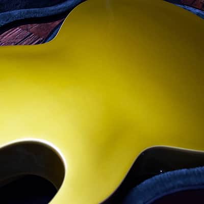 Epiphone Hollow Body ES-295 - GOLD image 22