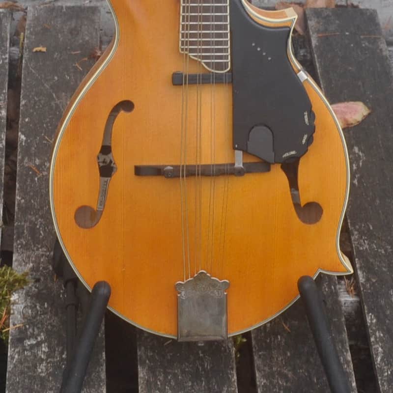 2010s Epiphone MM-50E Professional Mandolin Vintage Natural