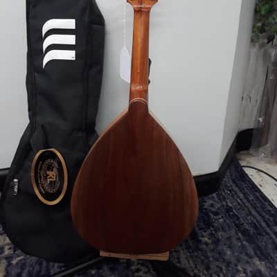 Michael Mederios Mandolin imagen 3