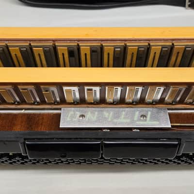 Titano Titan Piano Accordion 41/120 W/Case W/Pickup Tested image 20