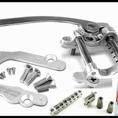KILLER DEAL Bigsby B5, Vibe V5, Quality Roller Bridge & String Spoiler fit most Stop Tail Guitars image 1