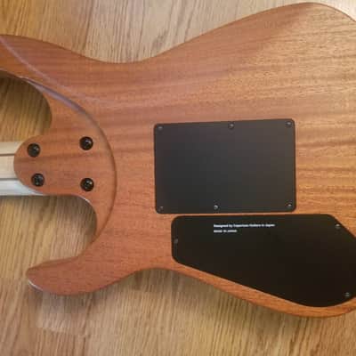Caparison Dellinger 7 image 11
