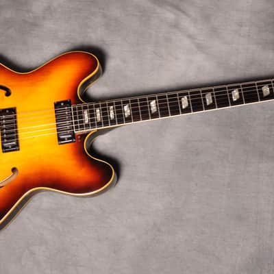 Immagine Epiphone Riviera E 360 TD 1967 - Sunburst - 6