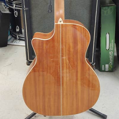 Washburn WG7SCE-A New Natural image 2
